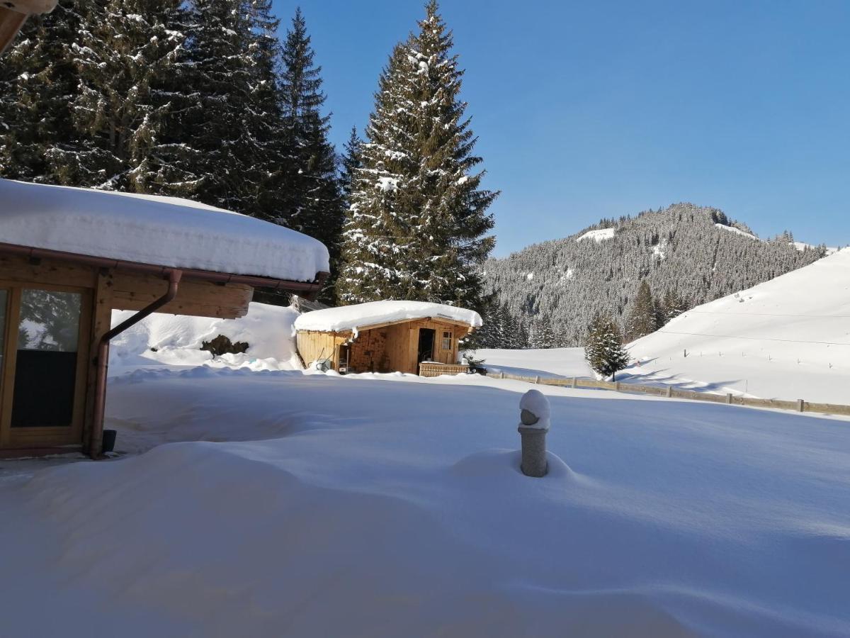 Haus Jessica Incl National Park Sommercard Mittersill Exterior foto