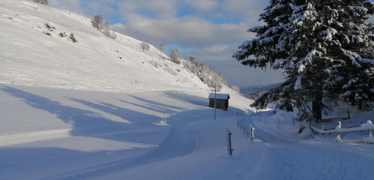 Haus Jessica Incl National Park Sommercard Mittersill Exterior foto